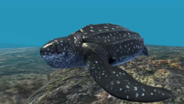 Undersea Adventure - Image 4