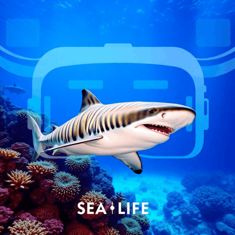 Tiger shark swimming near coral reefs with VR headset silhouette and digital waves overlay, depicting an immersive underwater experience at SEA LIF...