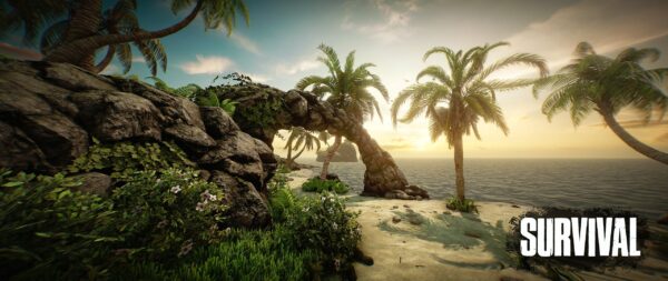 Survival - Image 5