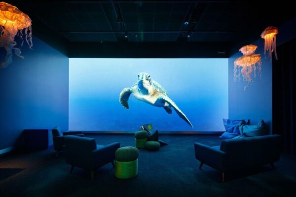 The Blu (including LA Natural History Museum) - Image 2