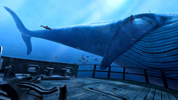 The Blu (including LA Natural History Museum) - Image 3