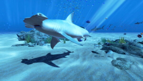 The Blu (including LA Natural History Museum) - Image 4